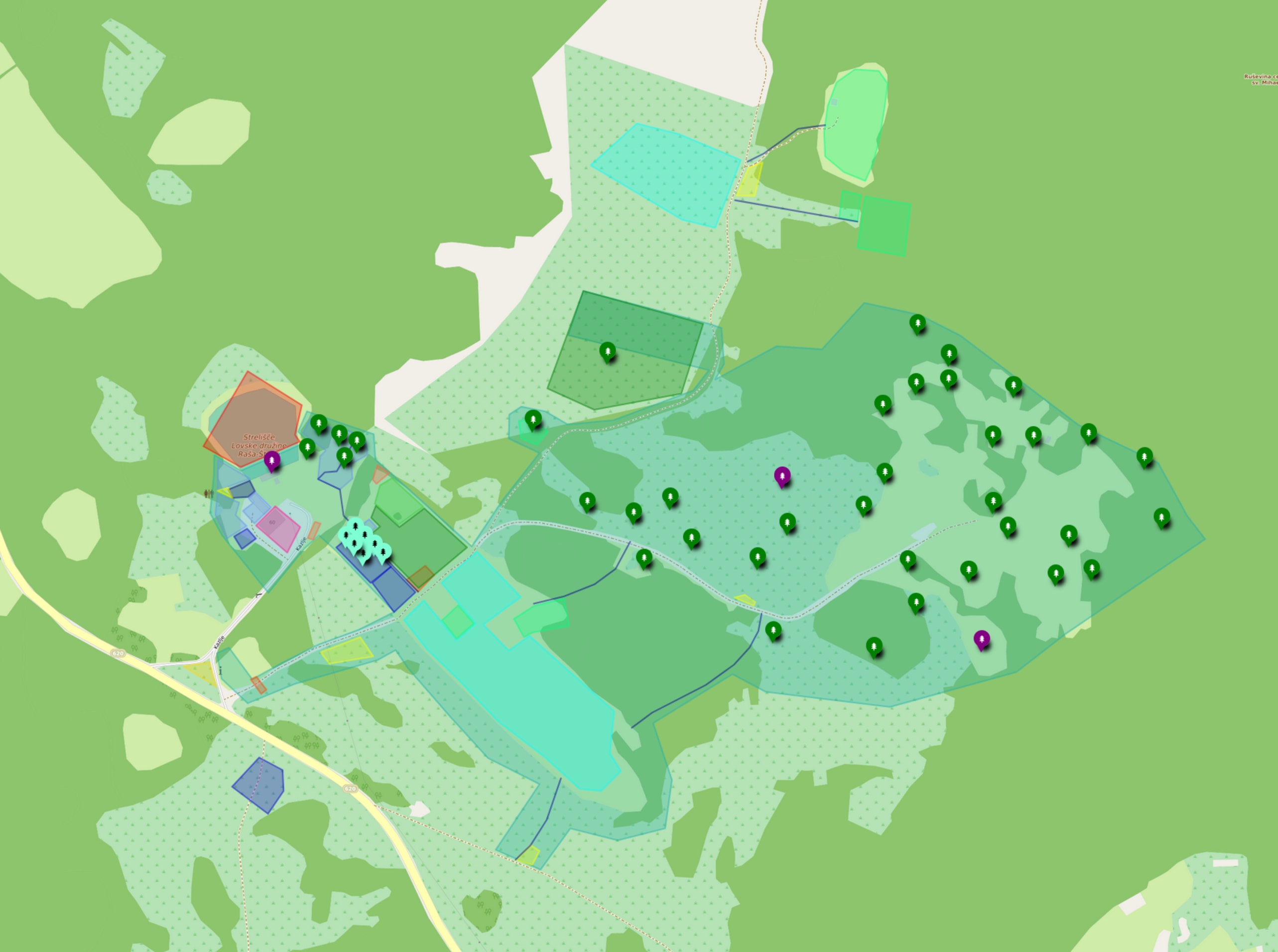 Zlet info page gallery 4